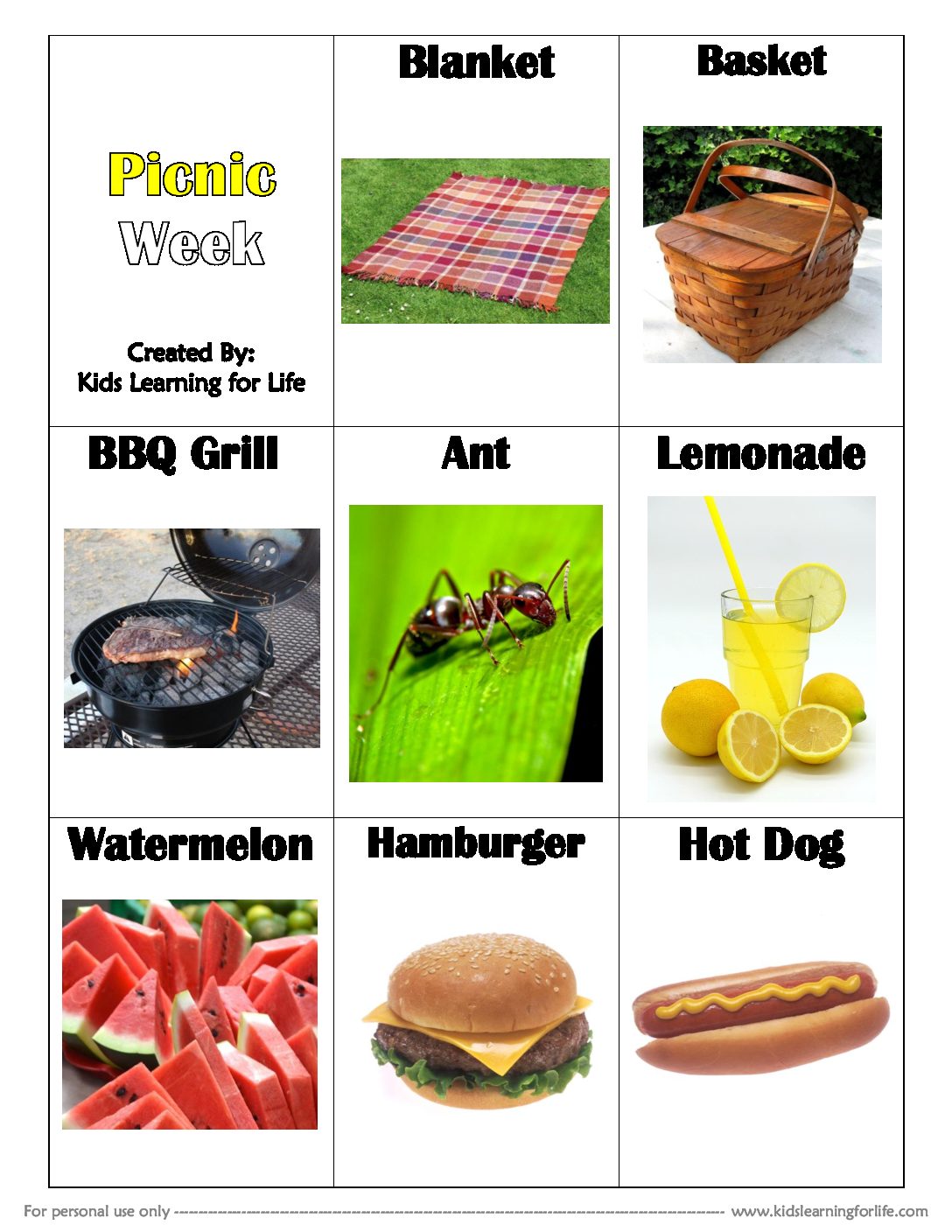 Picnic Theme Vocabulary